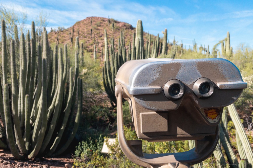 Stationary binocular viewer in the foreground with a desert landscape filled with red sand, cacti and a mountain in the background.