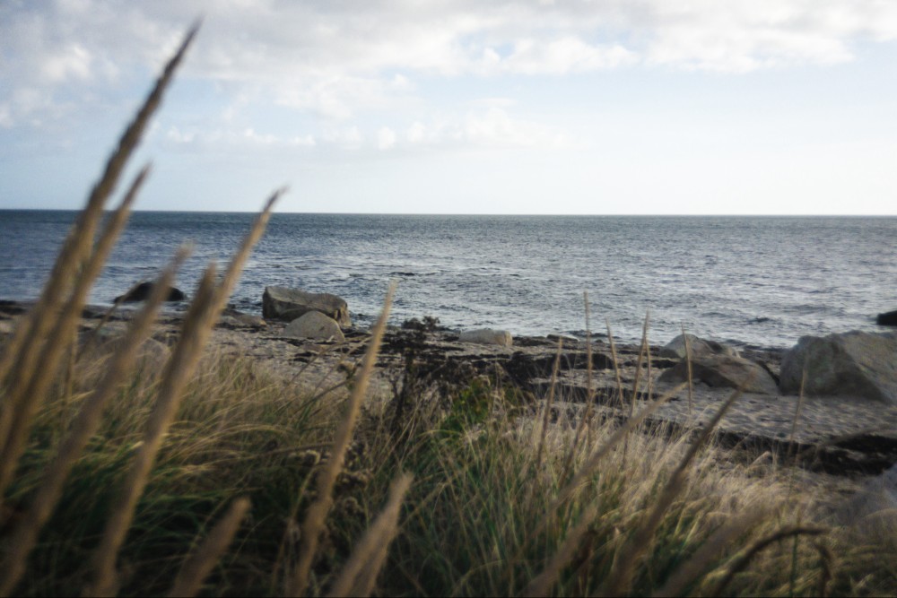 A coastal scene with tall grass in the foreground and a rocky shoreline meeting the calm sea under a partially cloudy sky.