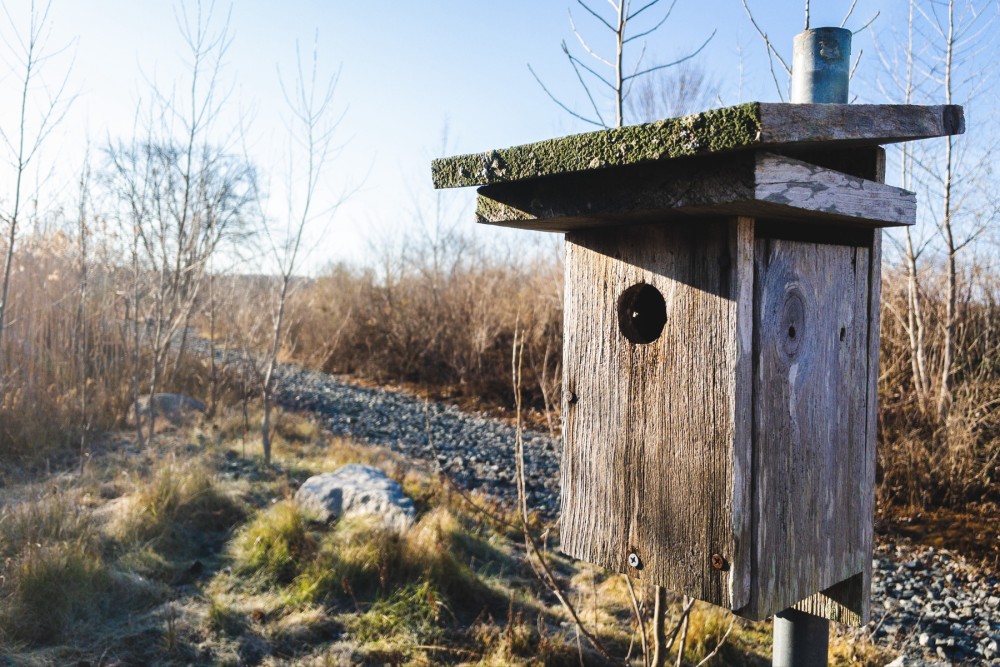 A weathered wooden birdhouse with moss-covered roof, mounted on a metal pole in a natural area with sparse vegetation and trees.