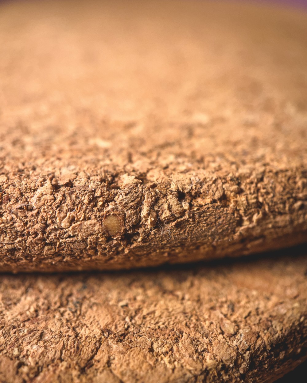 Macro photo of two disks with a cork texture stacked on top of each other.