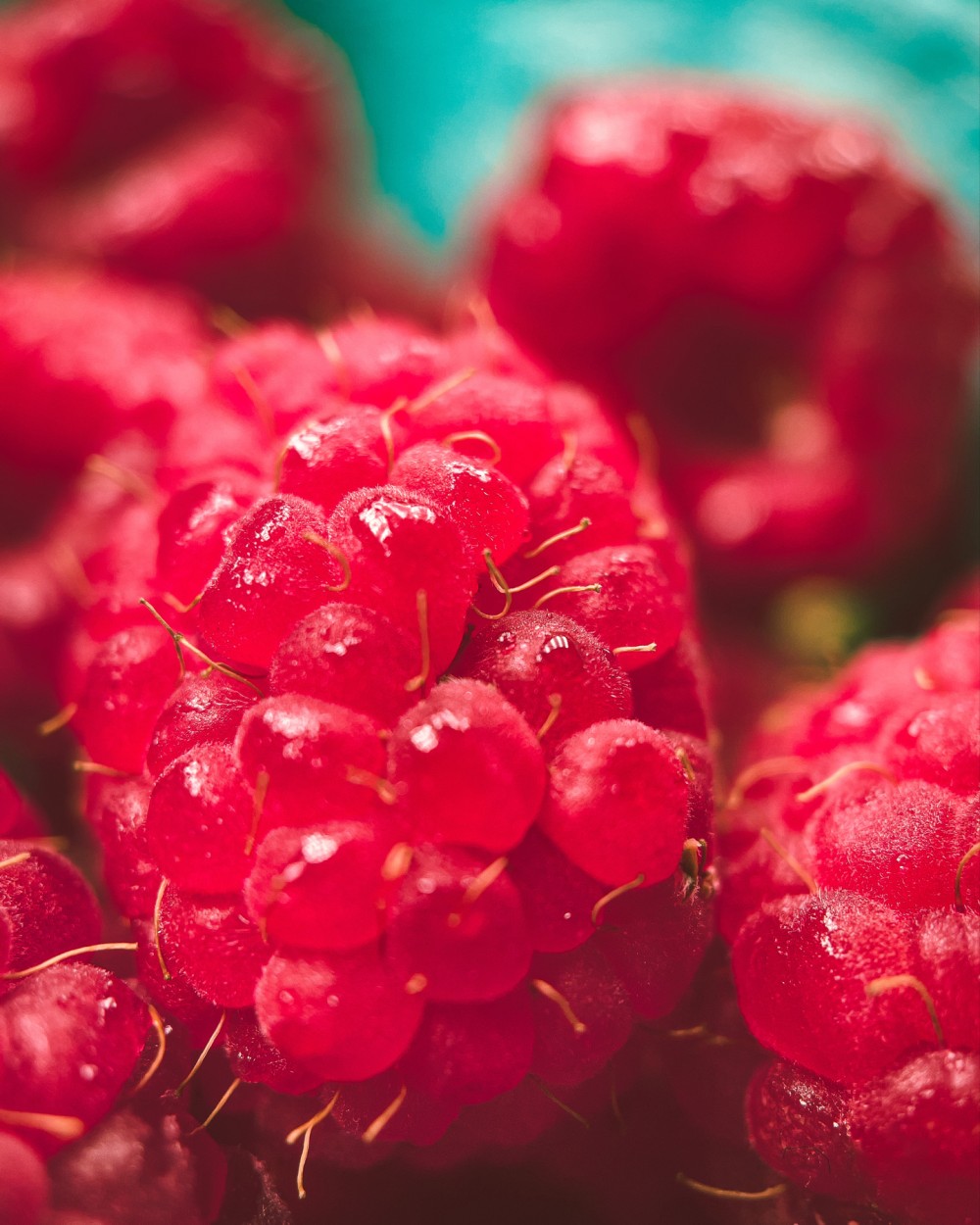 Macro photo of a raspberry on a pile of blurred raspberries with a light blue background.