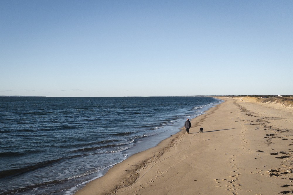 A person in a winter coat walking a dog on a deserted sandy beach alongside a calm sea, with dunes and clear skies in the background.